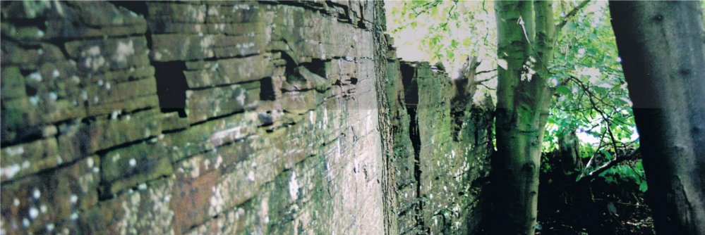 Photograph - Old quarry located close to development